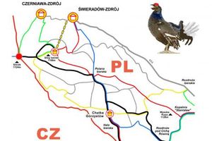 Biegowy Szlak Cietrzewia - źródło: swieradowzdroj.pl